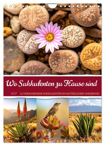 Sukkulenten hause sind - zu,