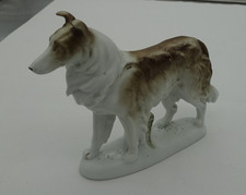 Collie, Langhaarcollie