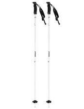 Neue Skistöcke für Damen