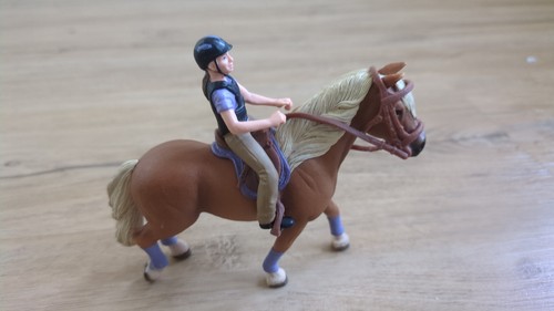 Freizeitreiterin haflinger - freizeitreiterin,