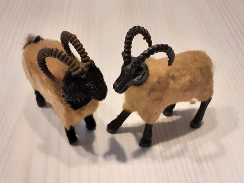 Steinbock/Widder