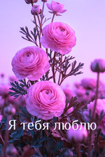 I Love You - Russian - Art