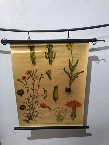 Schulkarte lehrtafel lehrkarte - schulkarte,