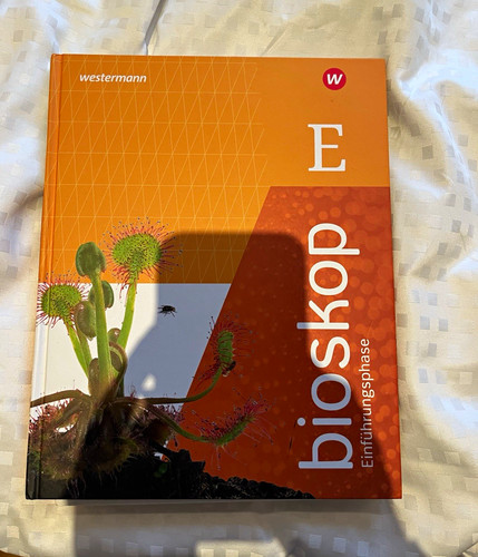 Westermann bioskop - , e
