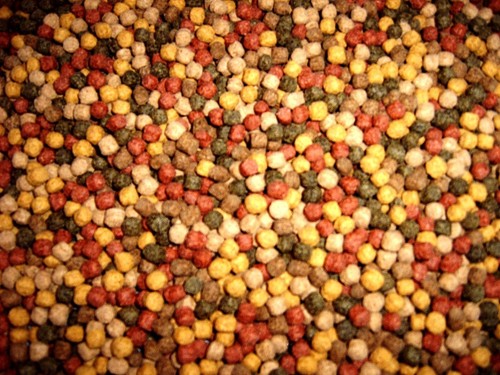 Koifutter sorten mix 5kg - koifutter,