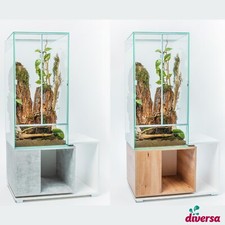 diversa Terrarium mit