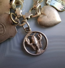 Anhänger Sternzeichen Krebs