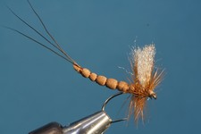 Fliegentom Trockenfliege - 3