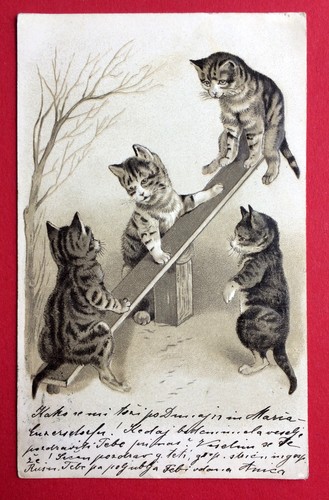 Prägedruck katze 1902 - prägedruck, ak