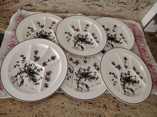 Villeroy boch botanica 6 x - villeroy, &