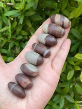 1" Shiva Lingam Stone, Small