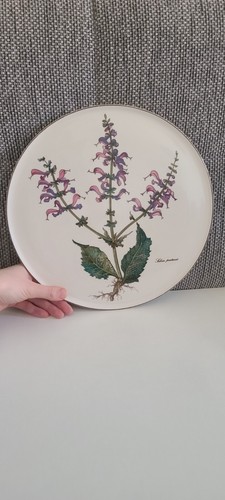Tortenplatte salvia pratensis