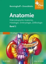 Detlev Drenckhahn | Benninghoff, Drenckhahn, Anatomie | Buch | Deutsch (2008)