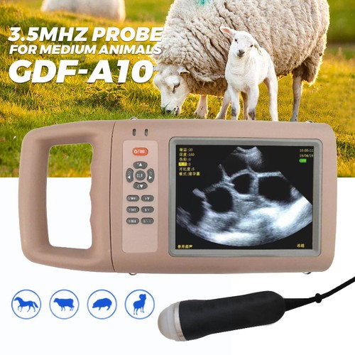 Ultraschall scanner maschine - ultraschall-scanner,