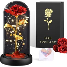 LED Ewige Rose im Glas für