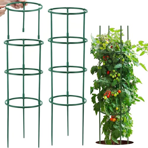 Tomaten rankhilfe verstellbar - tomaten,