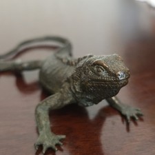 Atemberaubende Bronze Eidechse