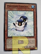 Gracile Pinguin / Puny