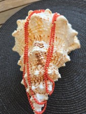 Korallenkette Vintage 80cm Perlen Gold?