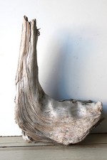 Treibholz Schwemmholz