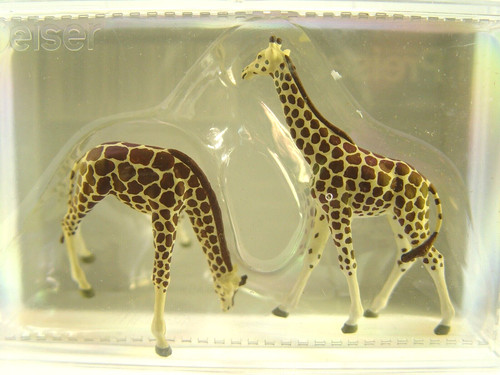 Giraffen stck tiere - -,