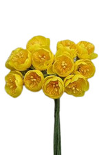 Sumpfdotterblumen bund 12cm - sumpfdotterblumen,