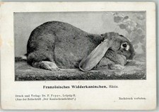13521351 - Franzoesisches