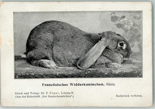 13521351 franzoesisches - -,