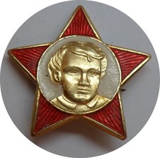 Pin, Abzeichen, Anstecknadel