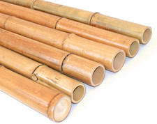 1 Stück Bambusrohr 300cm hitzebehandelt dickem 7 8cm Durchmesser Moso Bambusstab