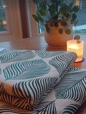 Fjaderklint grüne Blätter