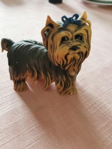 Yorkshire terrier kaiser - yorkshire,