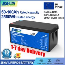 Easun 24V 100Ah LiFePO4