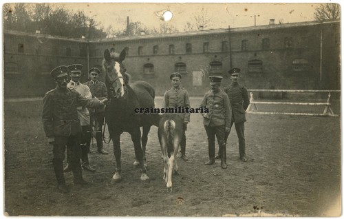 Orig foto reiter des husaren - foto,