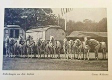 Historische Postkarte, 1940er, Circus Williams, Pferde, Zirkus, Köln, Rarität