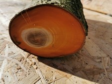 Drechselholz Bastelholz Edelholz Apfel Kirsche Eiche Mirabelle