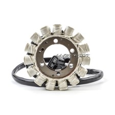Lichtmaschine Stator Magneto