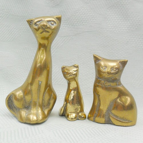 Für die katzenliebhaber - für, 3