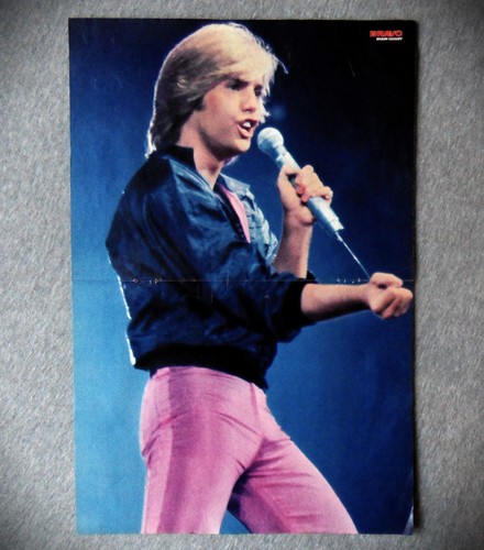 Poster shaun cassidy 70er - poster,
