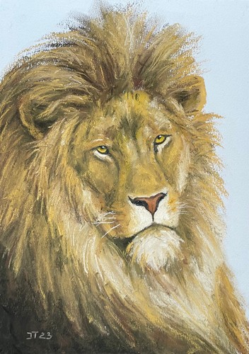 Löwe original pastell - original,