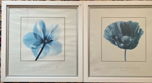 Reproduktion druck alan - ::2x,
