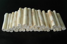 50 Bruthülsen Robinie -