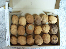 Walnuß  Walnuss  18 Paare Walnussschalen, Walnusshälften Nr. 3