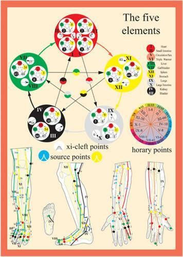 Five elements acupuncture - five, in