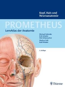 Prometheus kopf hals - prometheus,