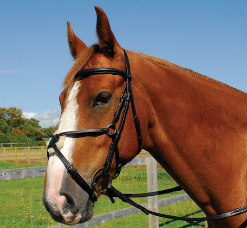 Heritage saddlery englische - saddlery,