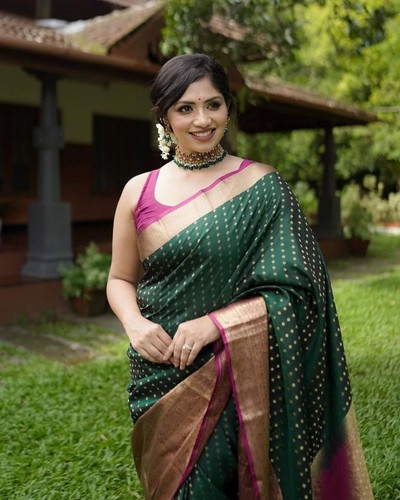 Indischer sari pakistanischer - indischer,