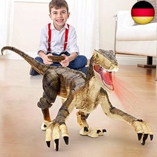 FRUSE Ferngesteuerter