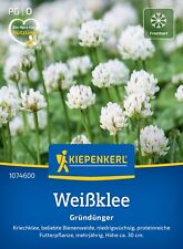 Kiepenkerl Weißklee