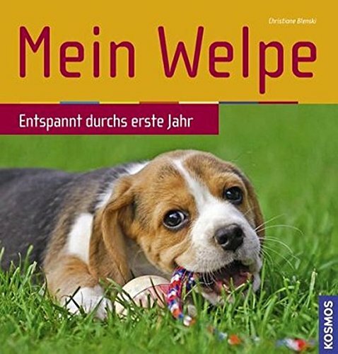 Mein welpe entspannt - mein, durchs